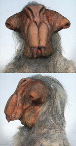 Spijek-Maquette