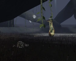 A ritual site within the Shadowlands