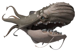 The Purrgil King - SW Card Trader