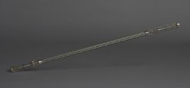 Electrostaff-SW