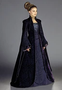PadmefullLoyalist.jpg (418 KB) Beaded indigo gown