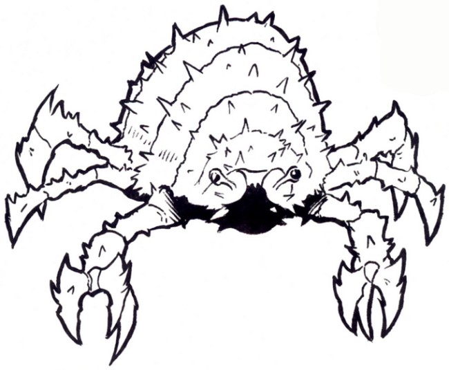 Suuri appearance 
