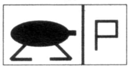 Assault regiment appearance in Common Appearance