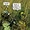 Acid rain