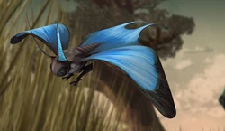 Carrier Butterfly