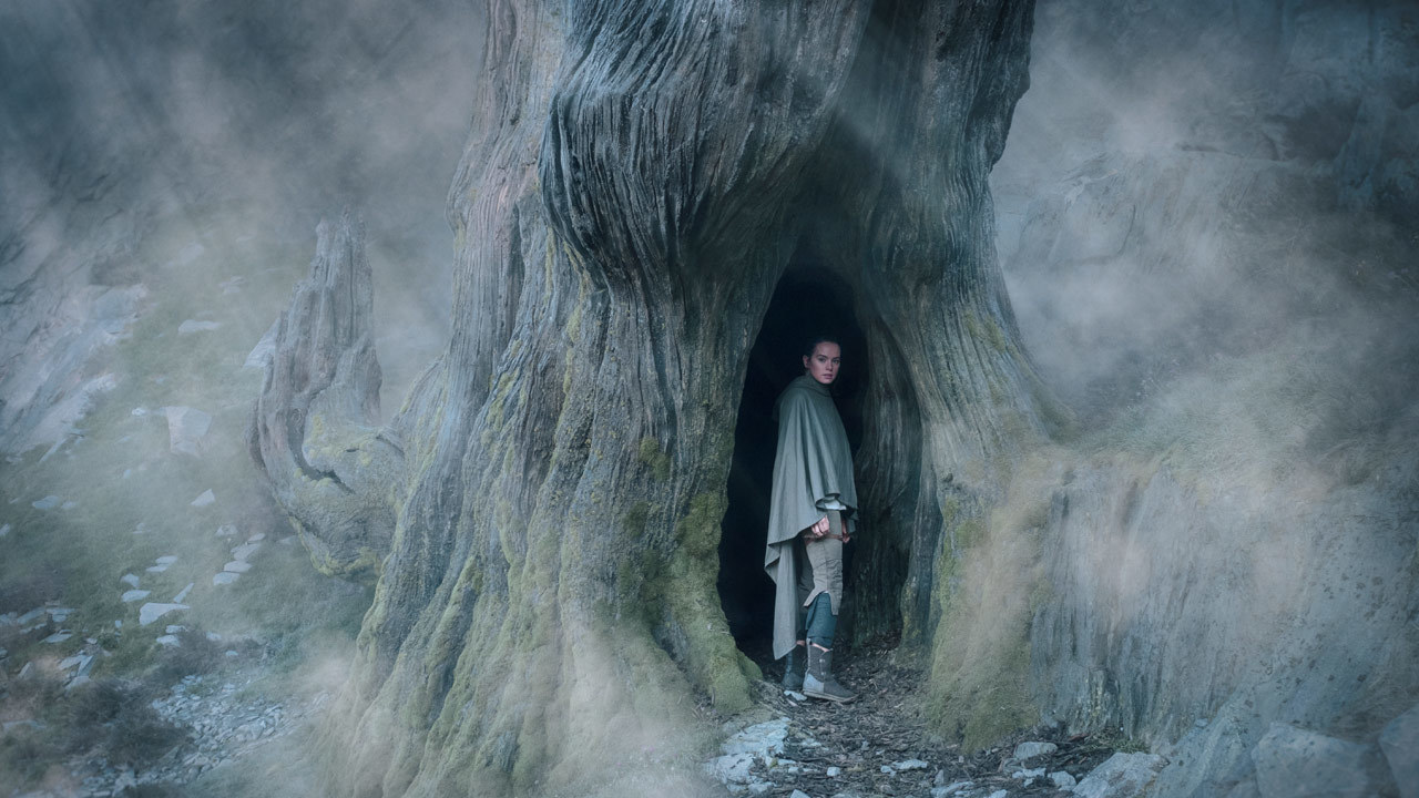 Rey visited the sacred uneti tree as the books called to her during her time on Ahch-To.