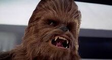 Chewbacca