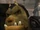 Wartogg