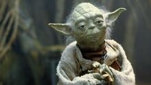 Yoda-Retina 2a7ecc26.jpeg