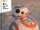 BB-8 and Other Astromech Droids