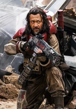 Baze Malbus