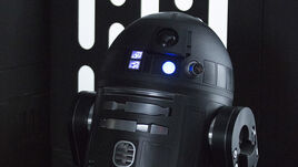 C2-b5-db