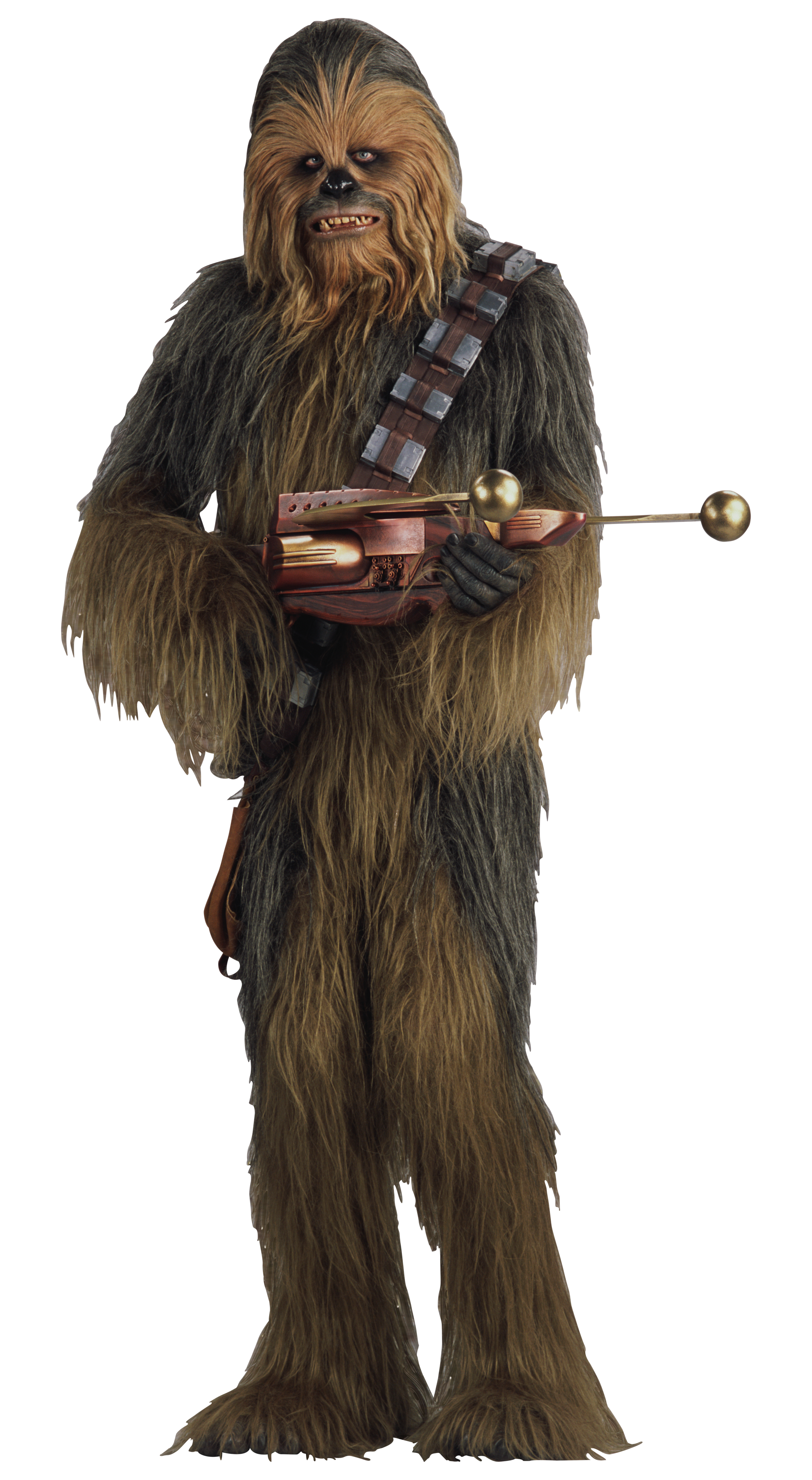 Wookiee appearance in Common Appearance