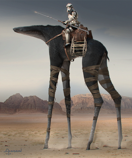 Jedha Camel