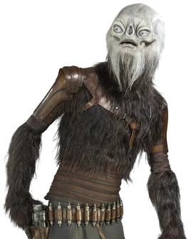 KullbeeSperado-Encyclopedia