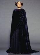 Velvet cloak