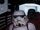 Unidentified stormtrooper commander (Tantive IV)