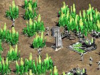 An example of green Nova crystals in 