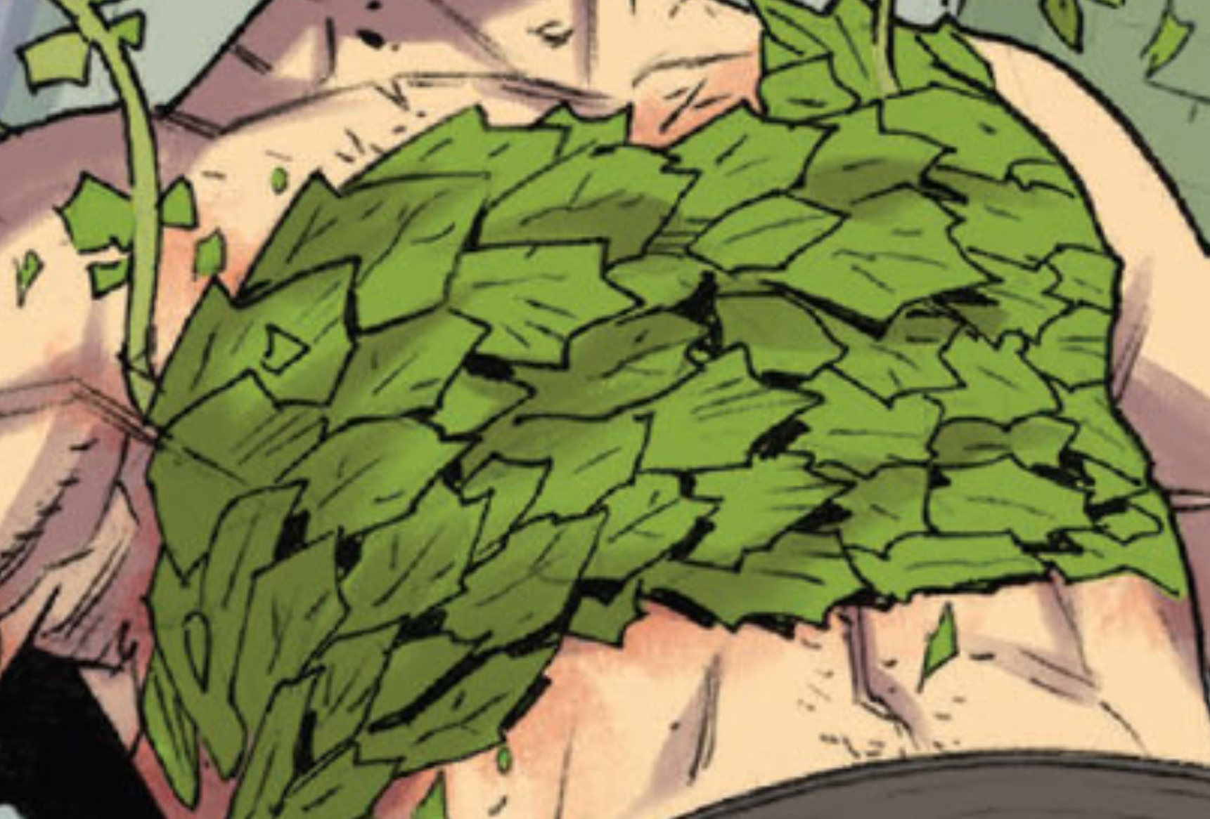 Tragia leaves appearance 