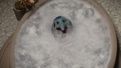 ნილი ბუშტების აბაზანის მიღებისას