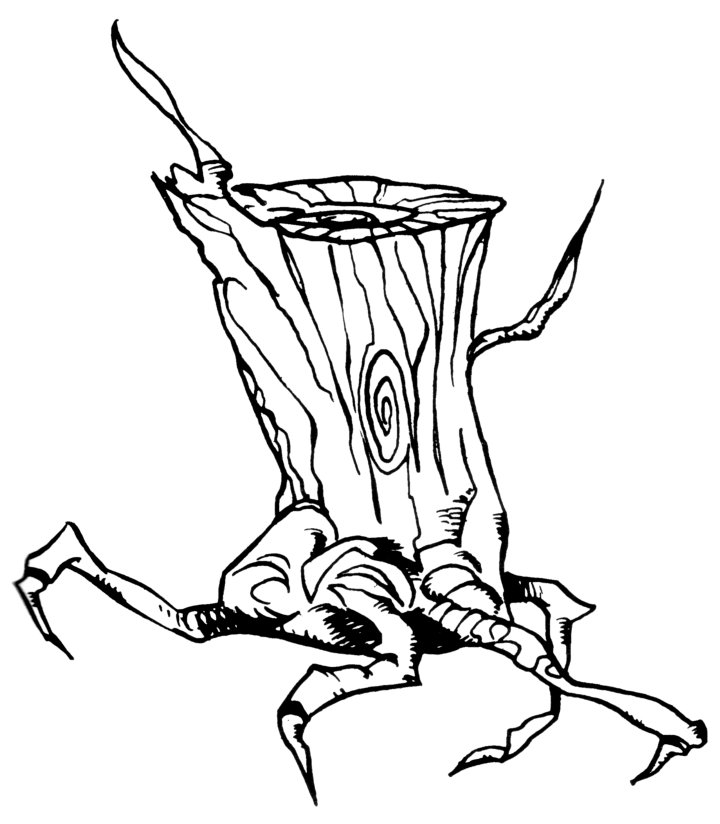 Telkadis hiding tree spider appearance 