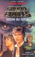 VisionFuture Fr.jpg (41 KB) French-language hardcover