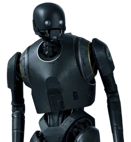 K2SO-SWBC35cvr