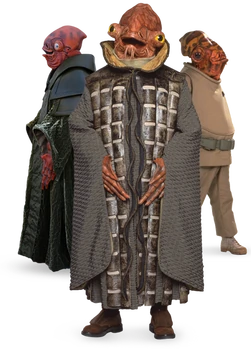The_Mon_Calamari