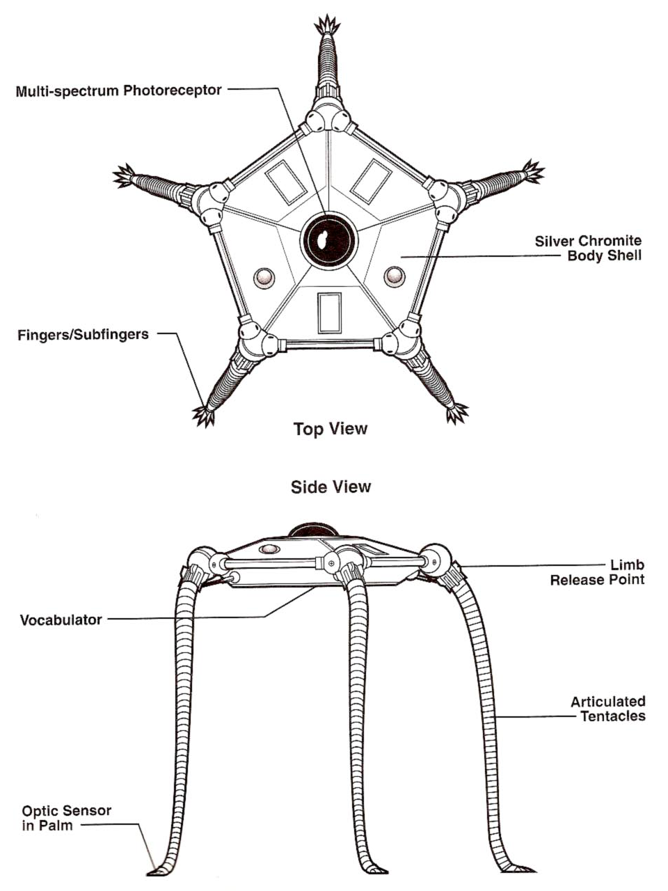 A diagram of Vuffi Raa.