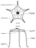 Vuffi Raa Diagram