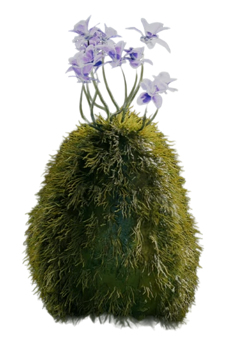 Bluebell squish appearance 