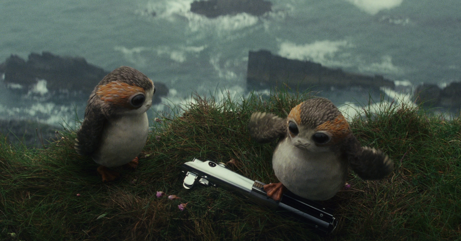 Porgs found shiny objects very fascinating.