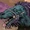 Unidentified creature (Dallenor)