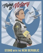 "Flying to Victory" poster, Barnes & Noble Exclusive Edition insert