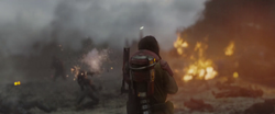 BazeScarif3
