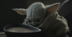 チャウダーを与えられたグローグー