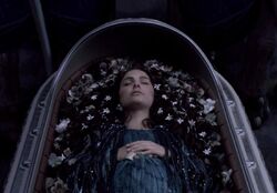 Dead padme