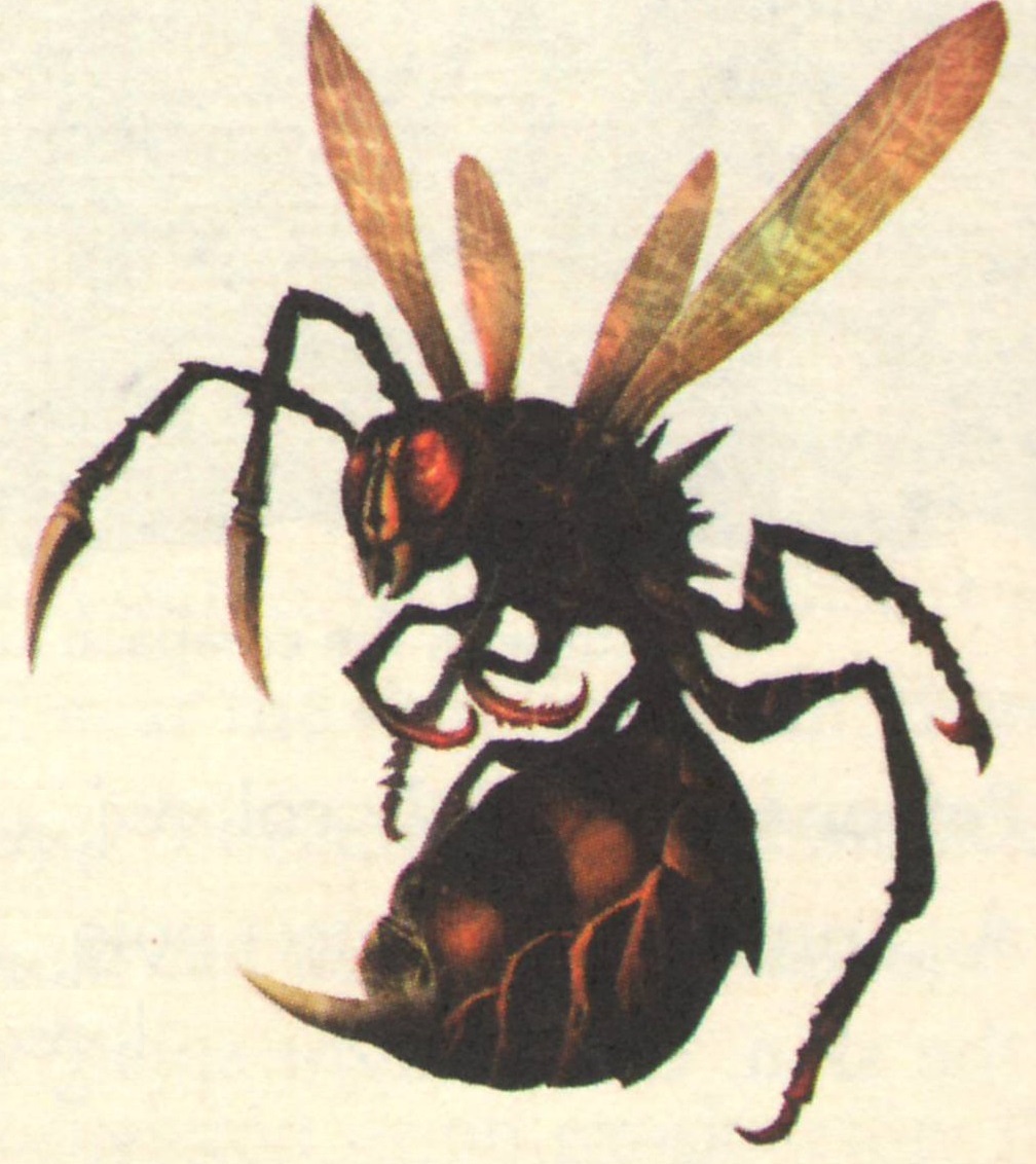 Fire wasp appearance 