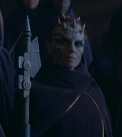 Ultrasonic Warstaff
