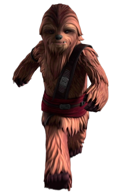 Gungi, a Wookiee youngling in the Jedi Order