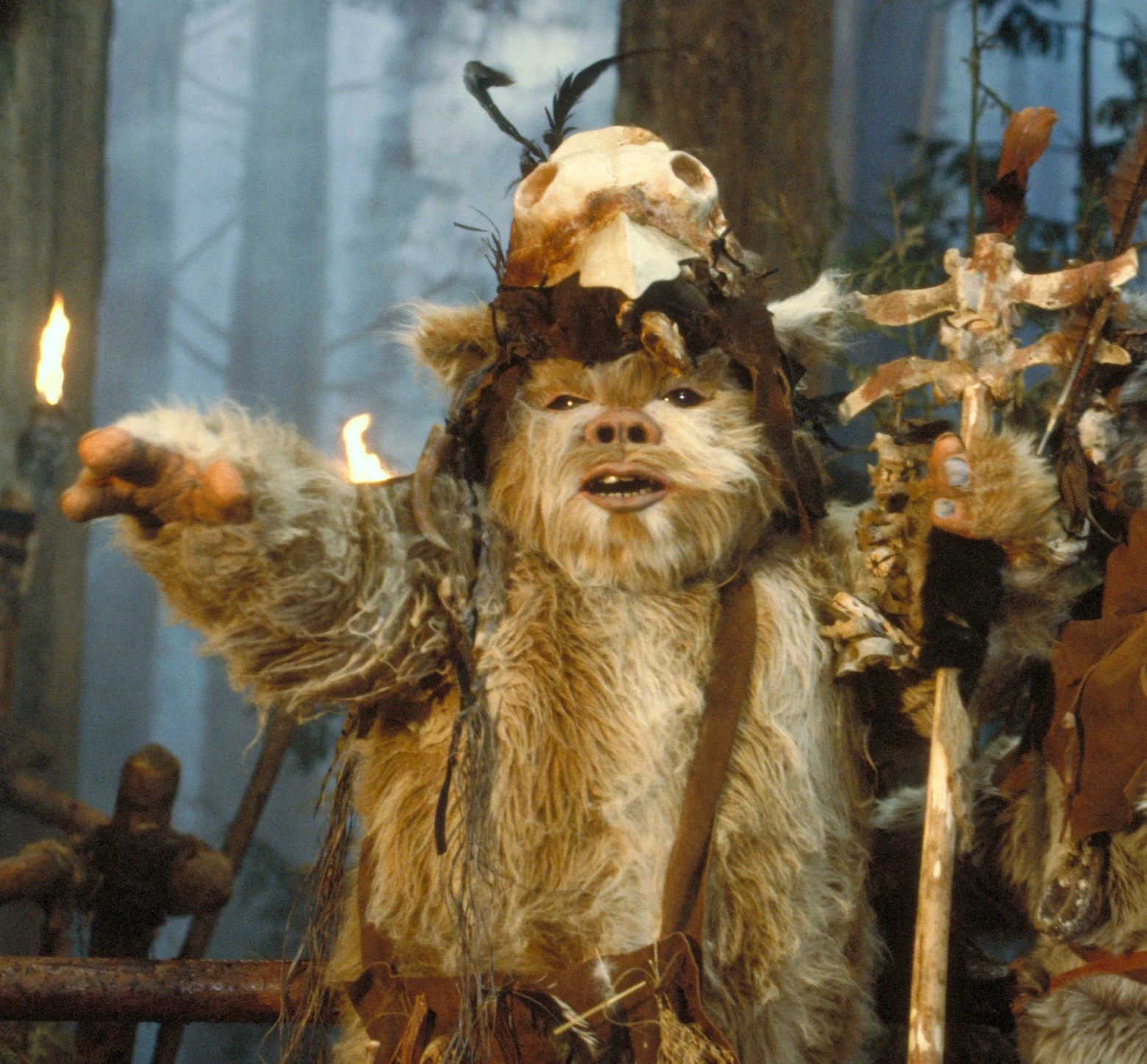 チュリ Wookieepedia Fandom