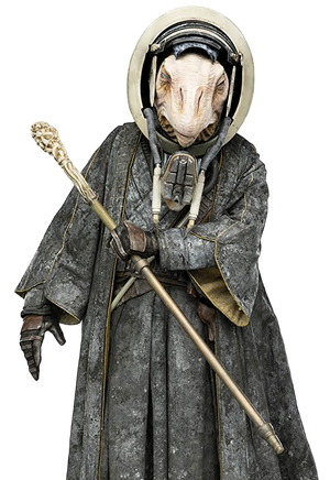 Moloch-USWNE