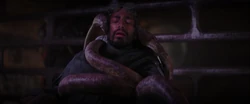 Rook was tortured by Bor Gullet.
