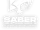 Saber Interactive
