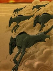 Písečné krysy z Bimmielu