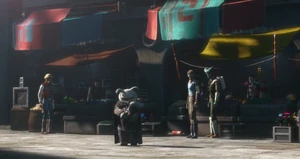 Ailish attempted to hide Bayrn's Force powers from her neighbors.