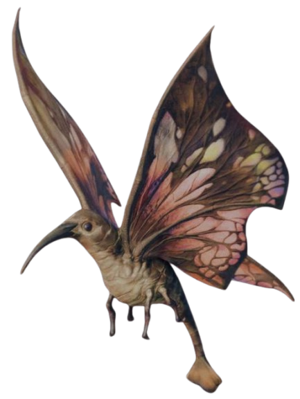 Apono moth appearance 