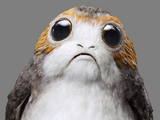 Porg