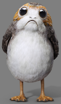 Penguins / Star Wars Porg Logo