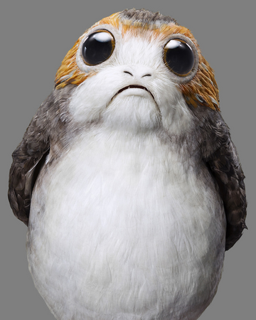 ポーグ Wookieepedia Fandom ポーグ Wookieepedia Fandom